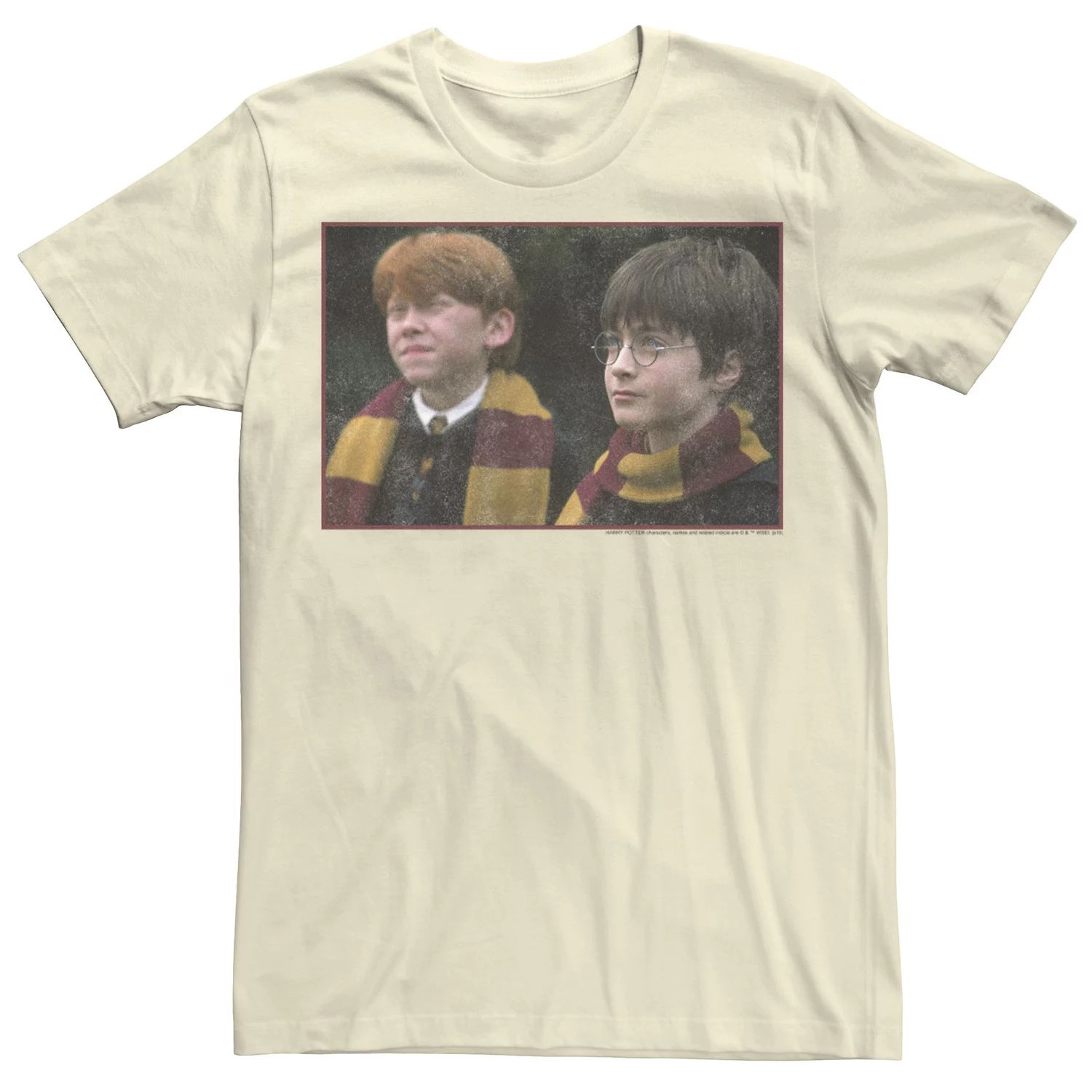Мужская футболка с плакатом «Гарри Поттер и Рон Уизли» Licensed Character
