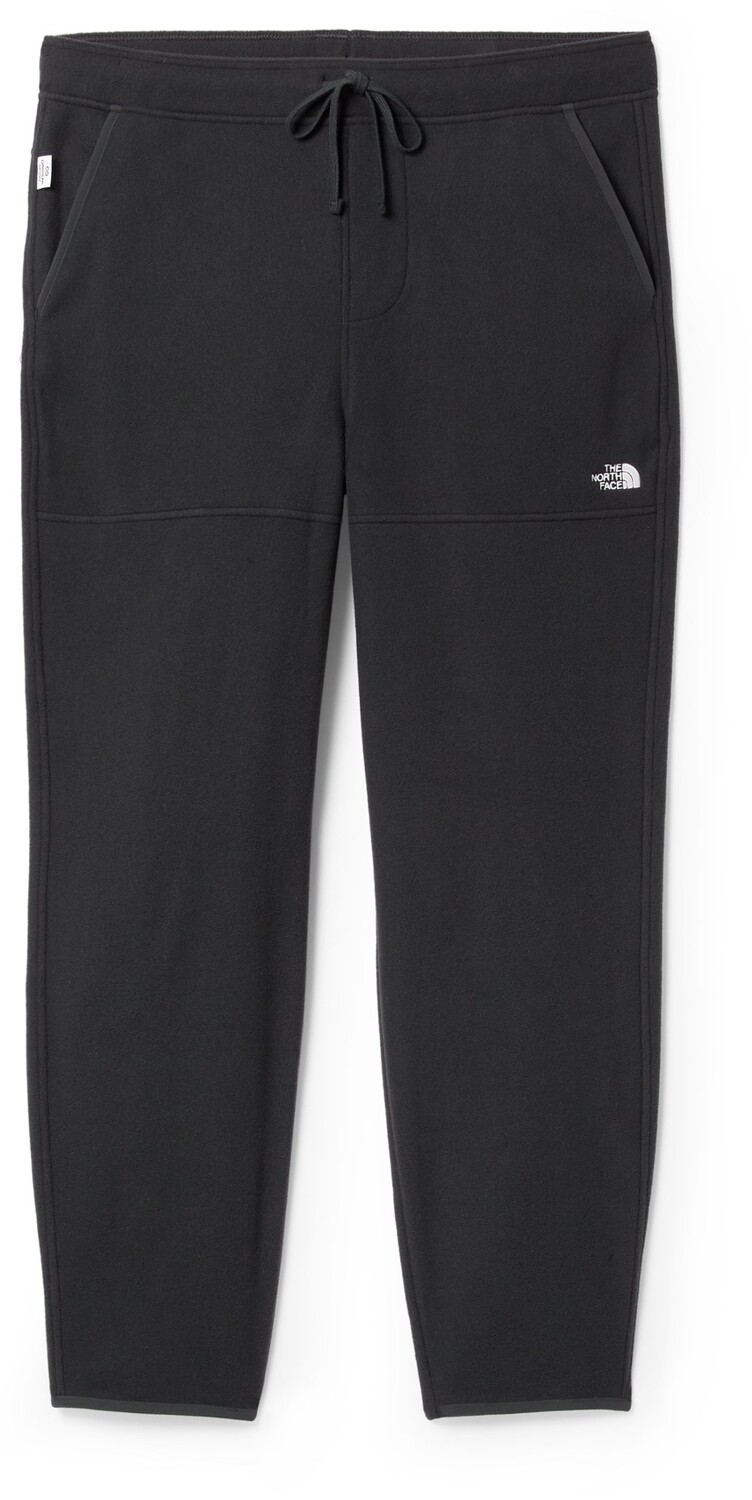 

Брюки Alpine Polartec 100 — мужские The North Face, черный