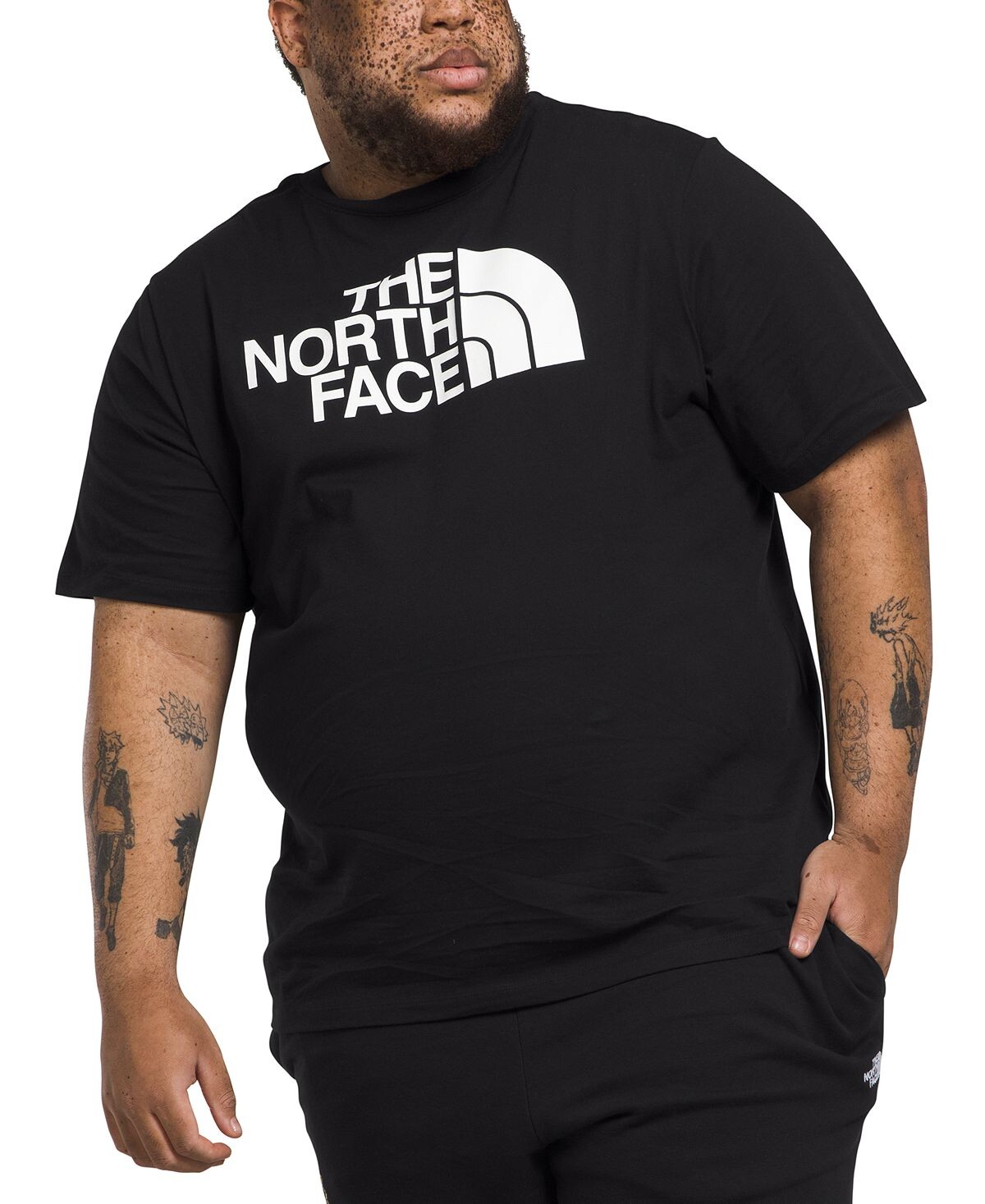 

Мужская футболка с полукруглым куполом большого размера (S/S) The North Face
