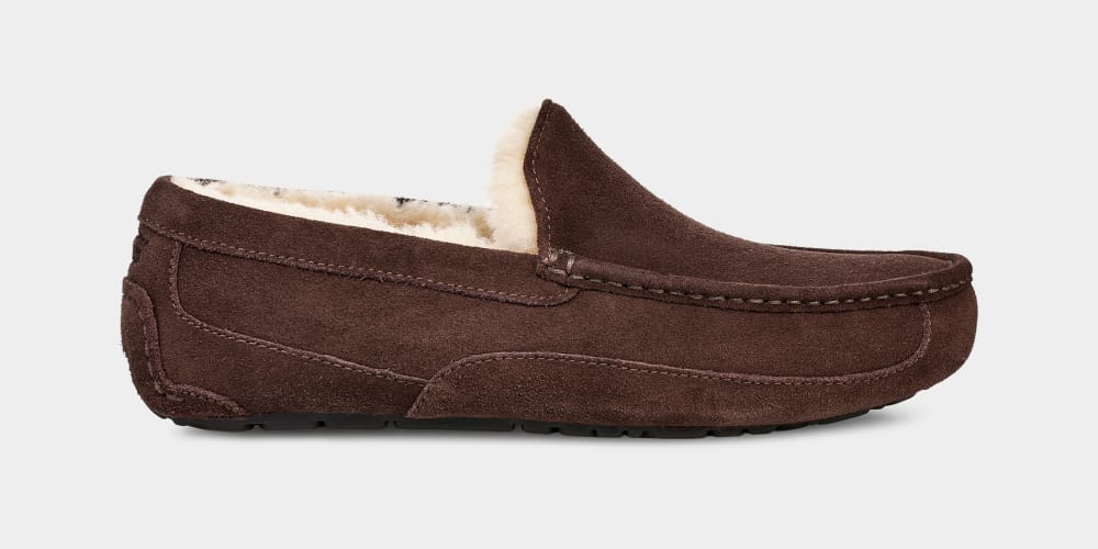 

Домашние тапочки Ascot Slipper UGG, коричневый