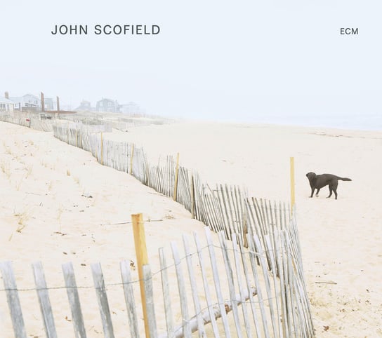 Виниловая пластинка Scofield John - Solo