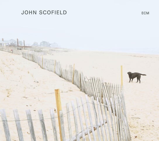 Виниловая пластинка Scofield John - Solo