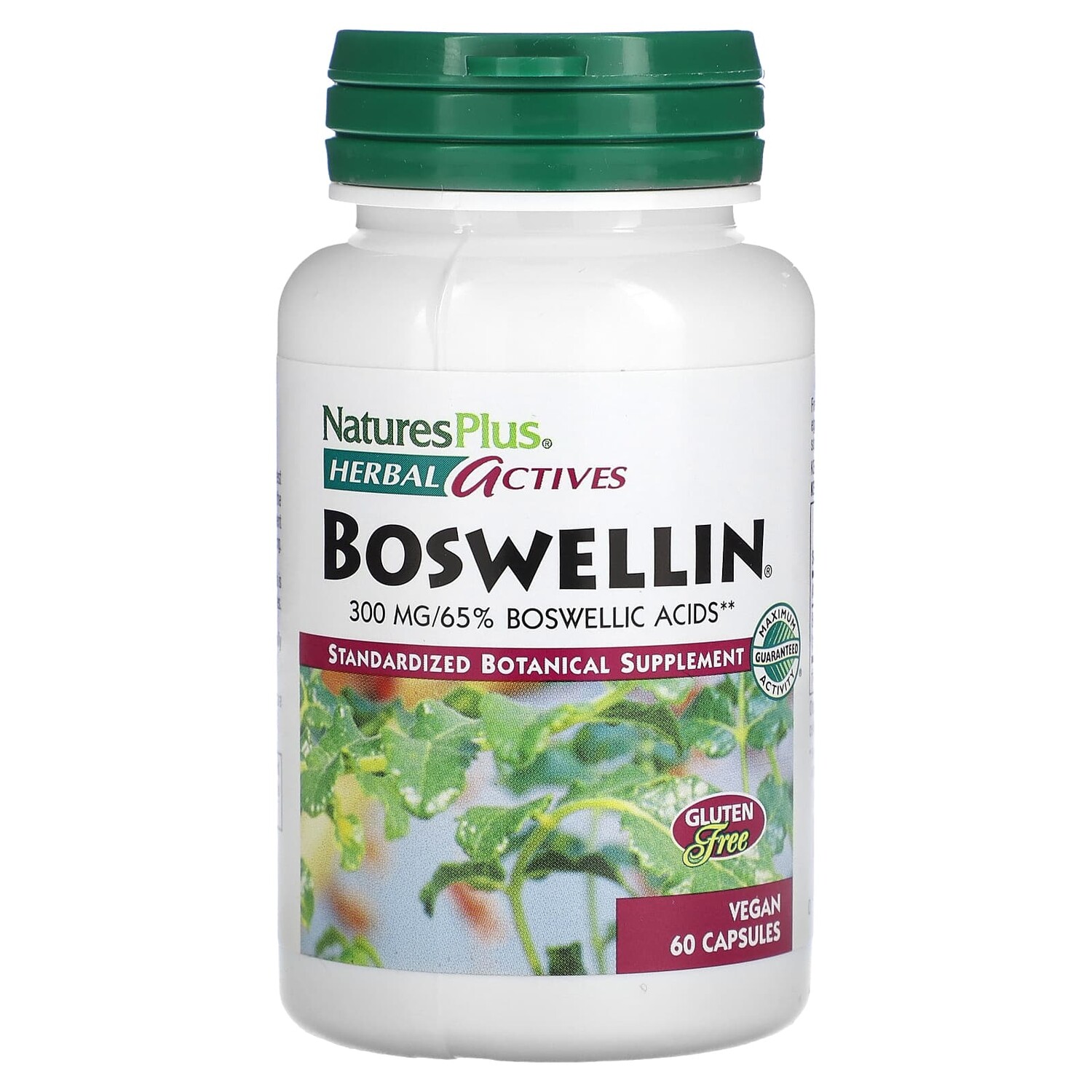 

Herbal Actives, босвеллин, 300 мг, 60 веганских капсул, NaturesPlus