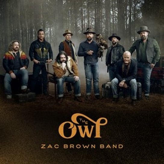 Виниловая пластинка Zac Brown Band - The Owl детектор напряжения ada zac 1000