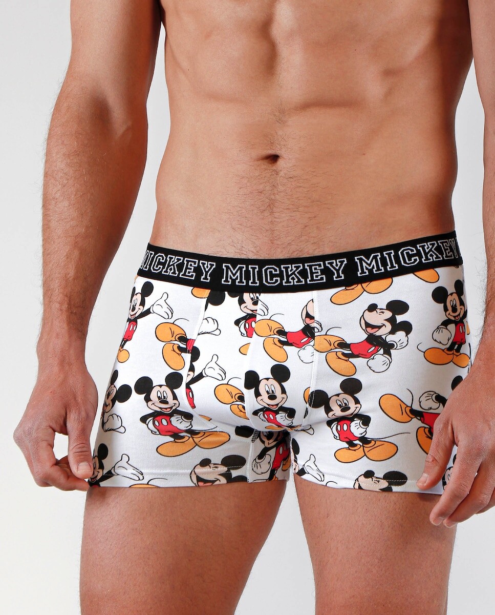 

Комплект из двух мужских трикотажных боксеров разных цветов Disney, мультиколор