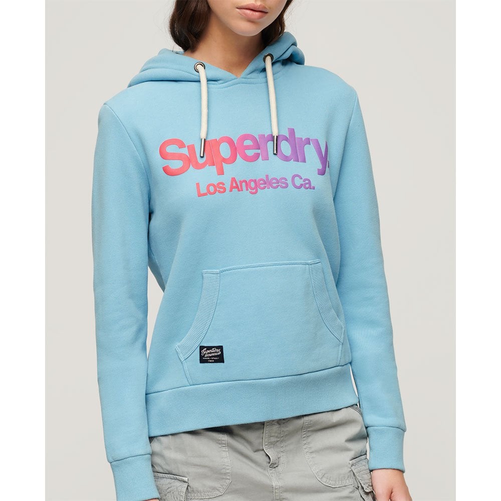 

Худи Superdry Tonal Rainbow Core Logo, синий