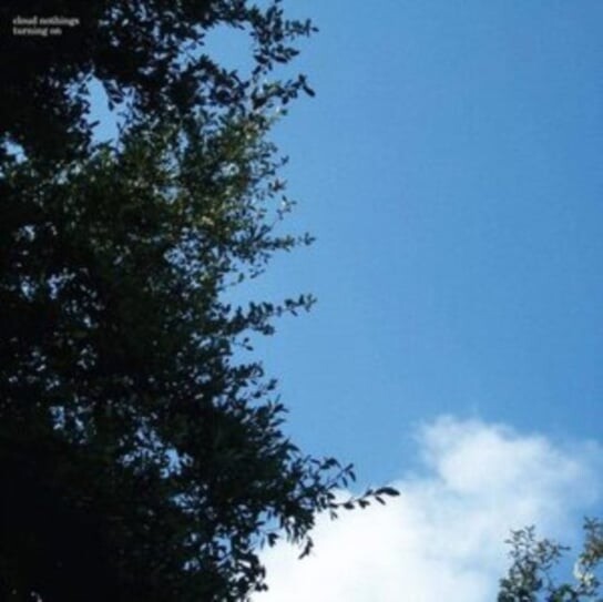 

Виниловая пластинка Cloud Nothings - Turning On
