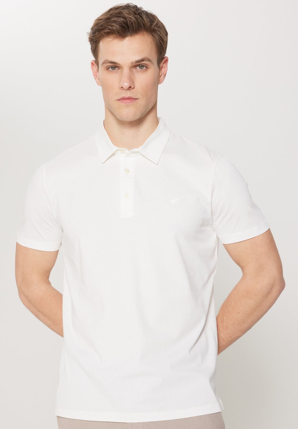 

Рубашка поло STANDARD FIT AC&CO / ALTINYILDIZ CLASSICS, белый