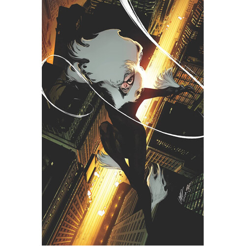 

Книга Black Cat Vol. 5: I’Ll Take Manhattan