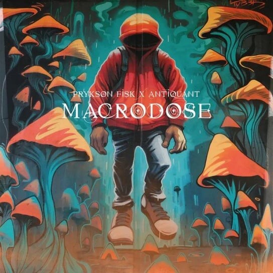 

Виниловая пластинка Various Artists - Macrodose