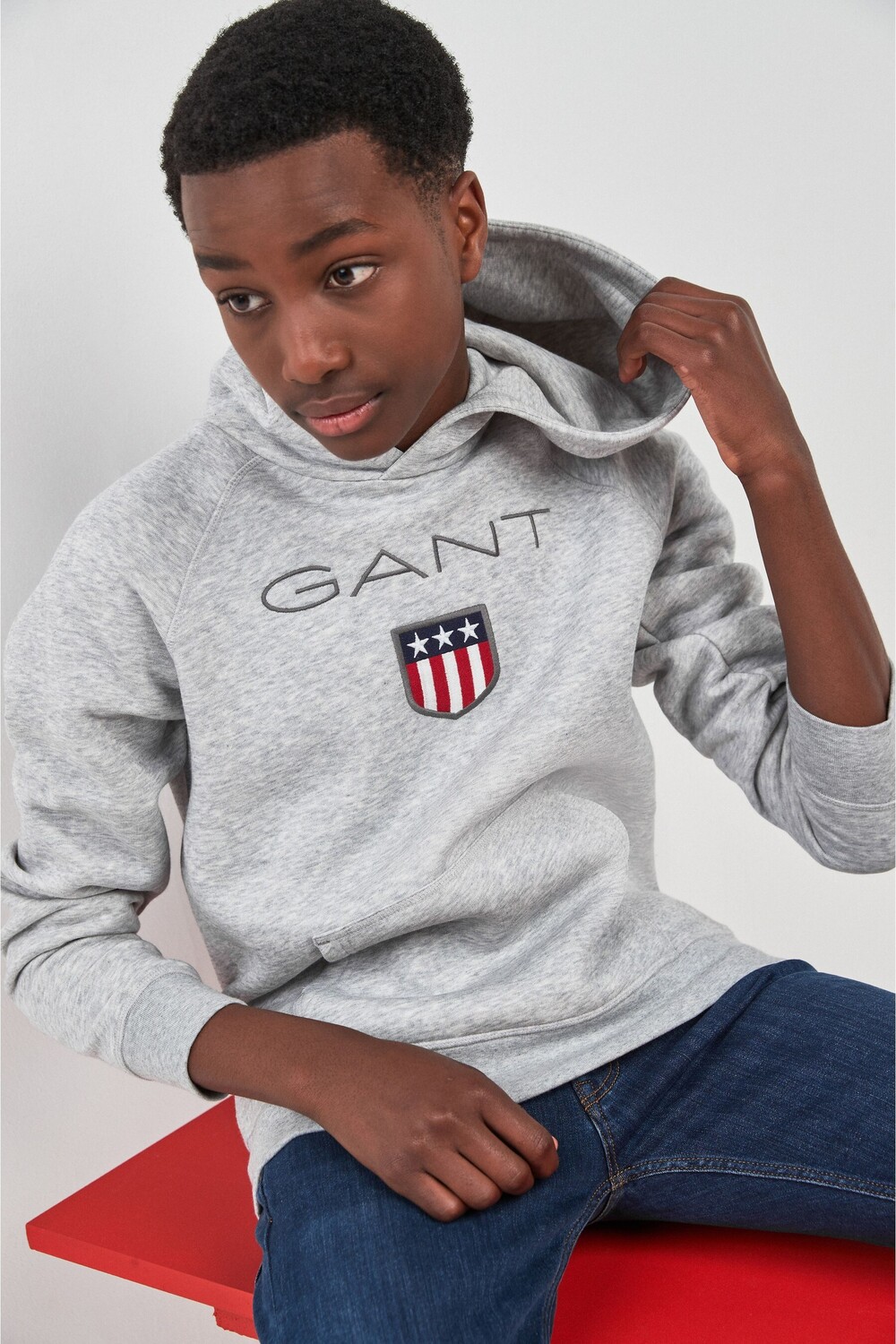 

Толстовка Shield с логотипом GANT, серый