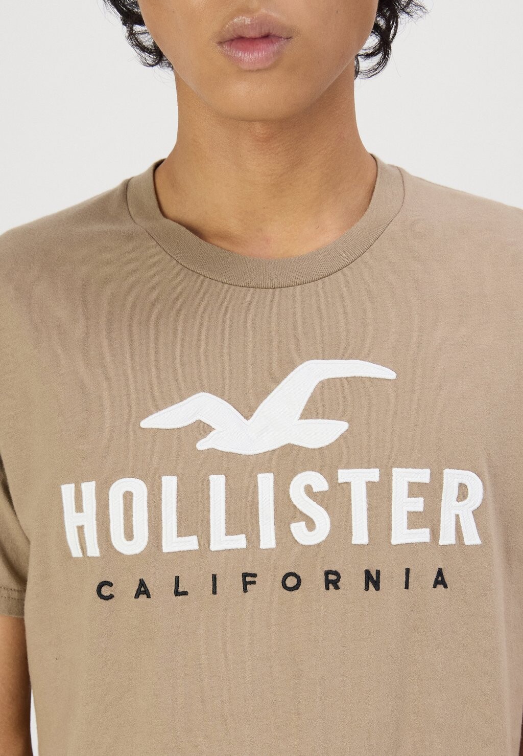

Базовая футболка TECH LOGO UPDATE Hollister Co., серо-коричневый