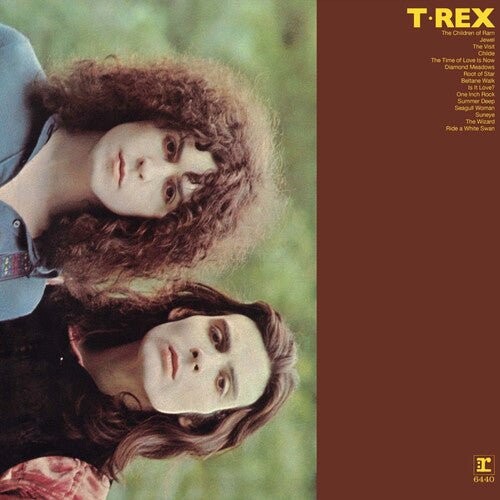 

Виниловая пластинка T-Rex