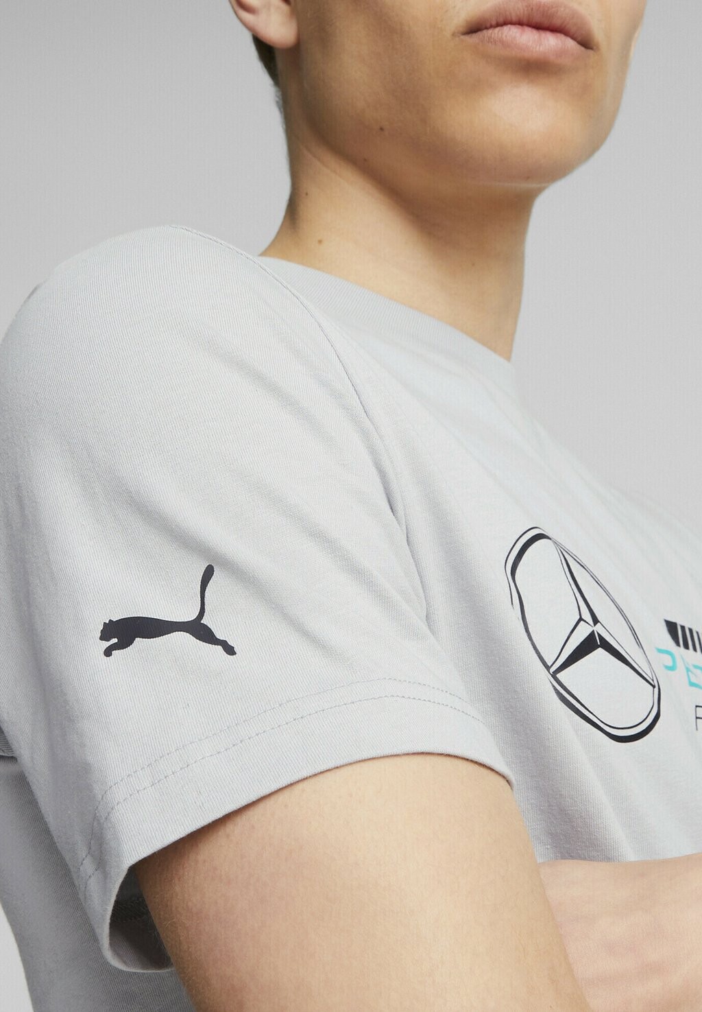 

футболка с принтом MAPF1 ESS LOGO TEE Puma, командное серебро