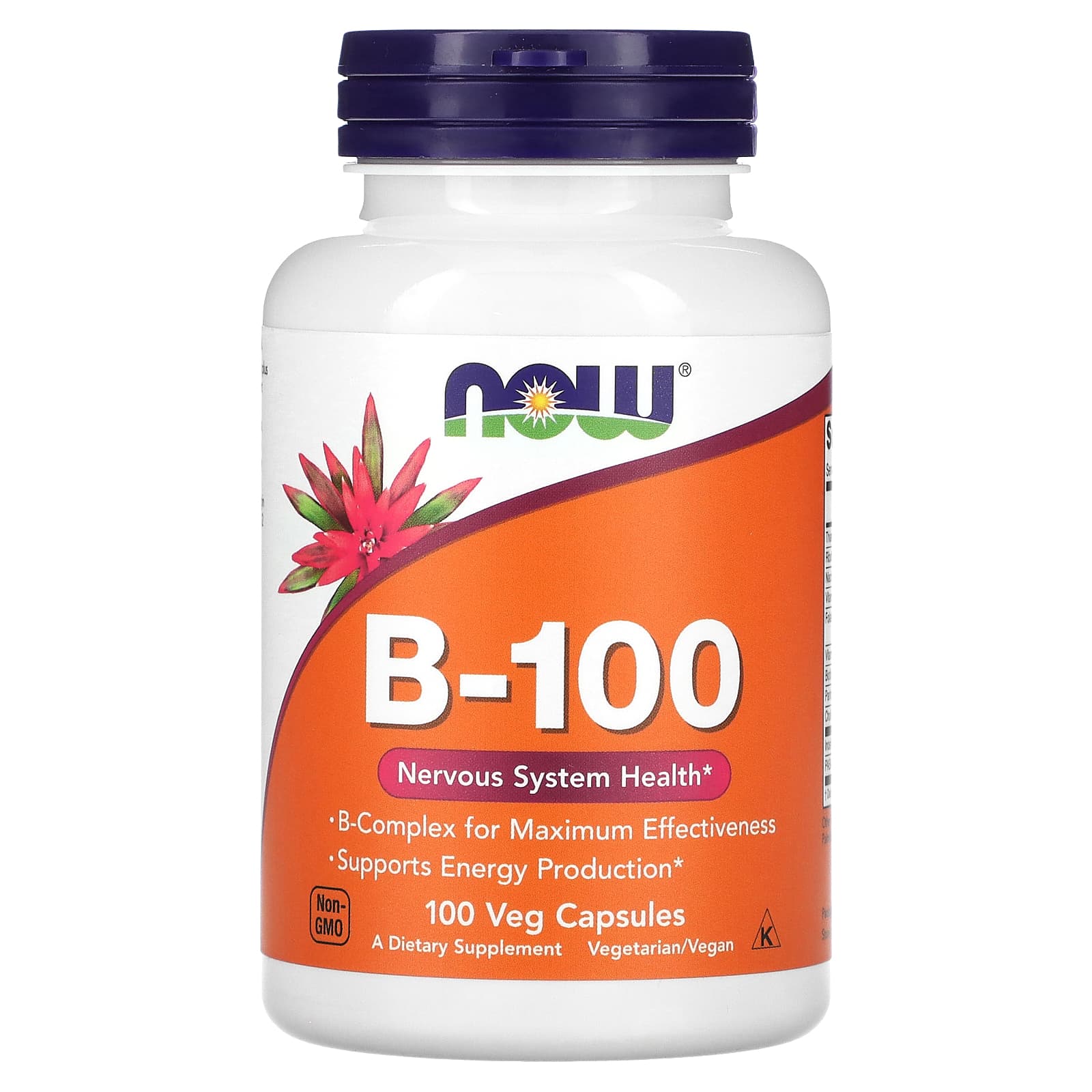 Now Foods B-100 100 веганских капсул основные электролиты 100 веганских капсул nutribiotic