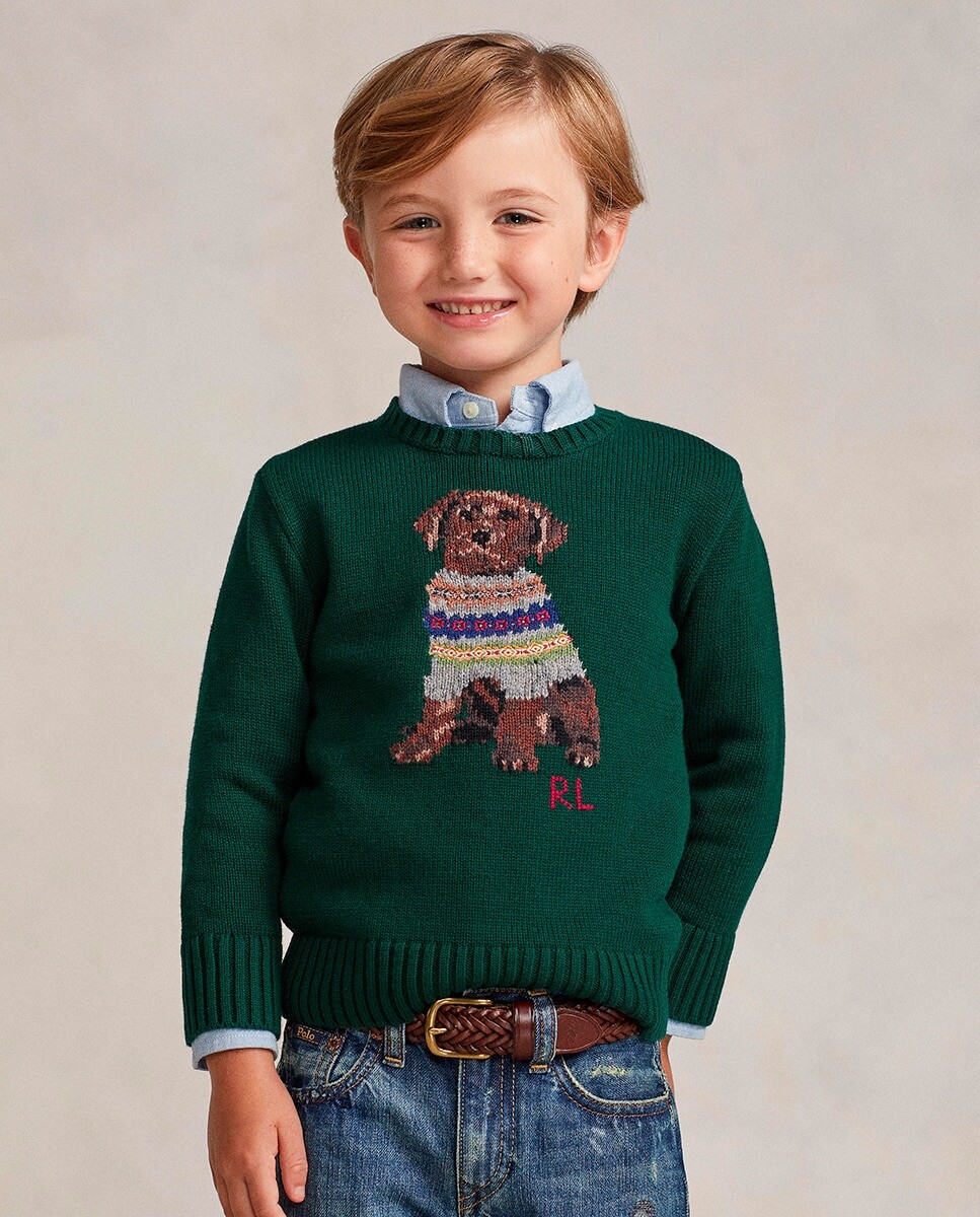 

Хлопковый свитер для мальчика с собачкой Polo Ralph Lauren, зеленый