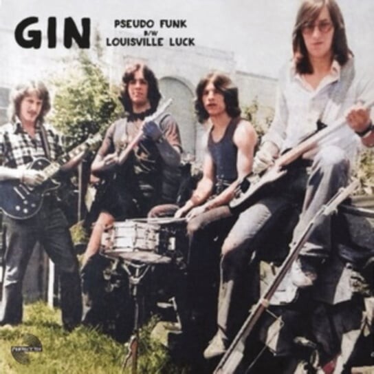 

Виниловая пластинка GIN - Pseudo Funk