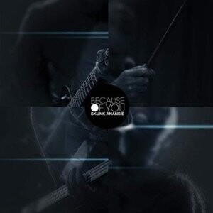 

Виниловая пластинка Skunk Anansie - Skunk Anansie - 7-Because of You
