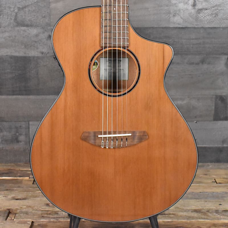 

Акустическая гитара Breedlove Discovery S Concert CE Nylon