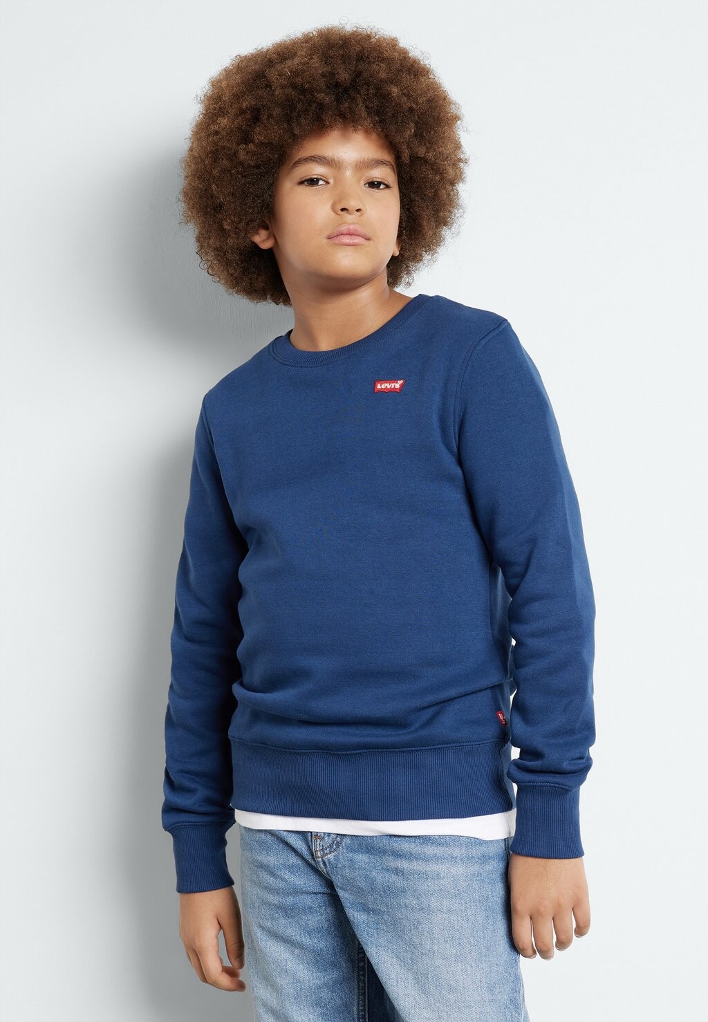 

Толстовка MINI LOGO CREWNECK Levi's, цвет estate blue