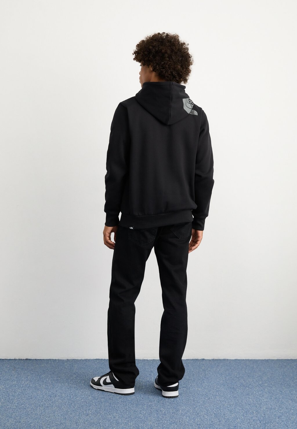

Толстовка с капюшоном HOOD LOGO The North Face, черный