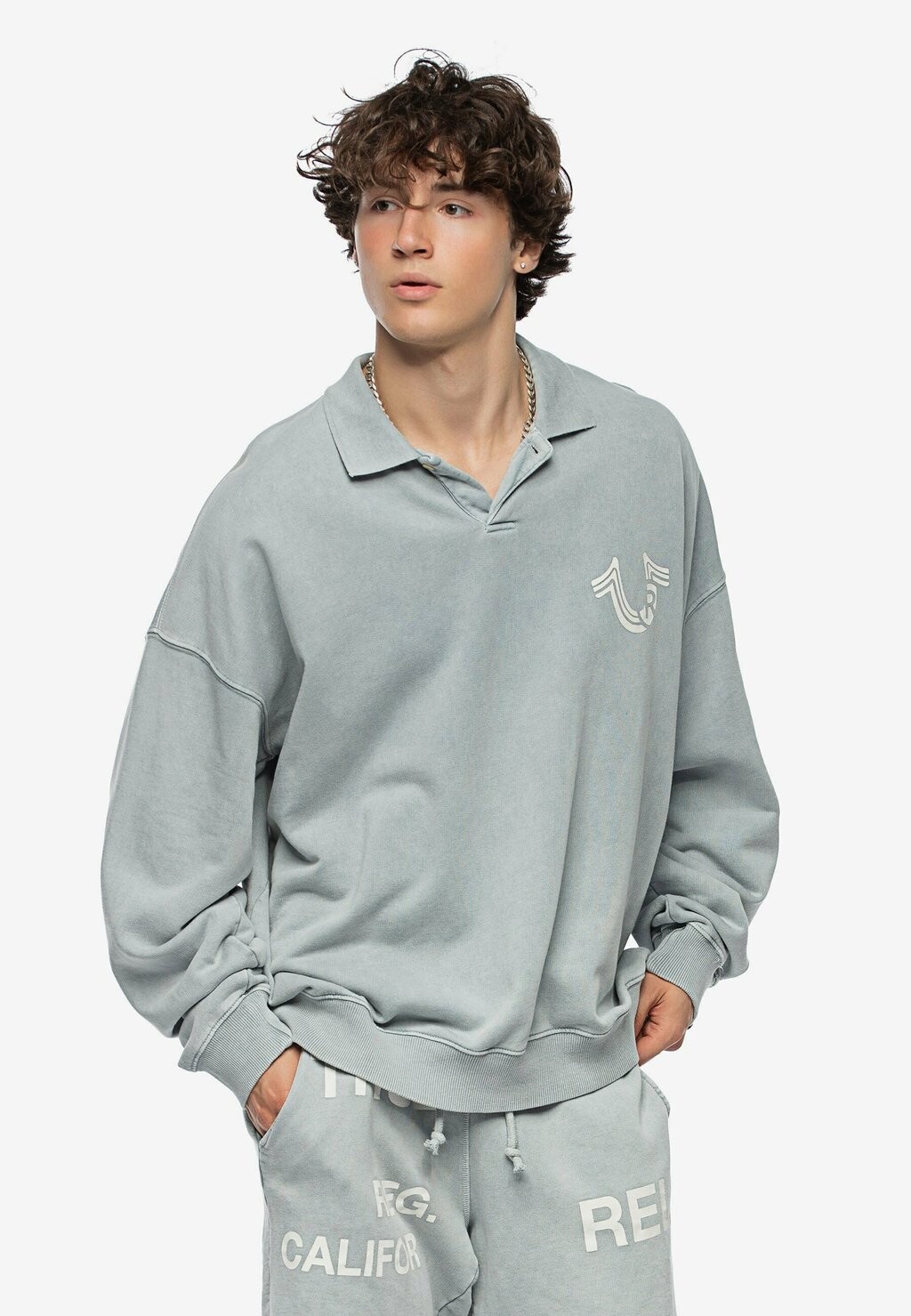 

Толстовка HORSESHOE True Religion, цвет slate grey