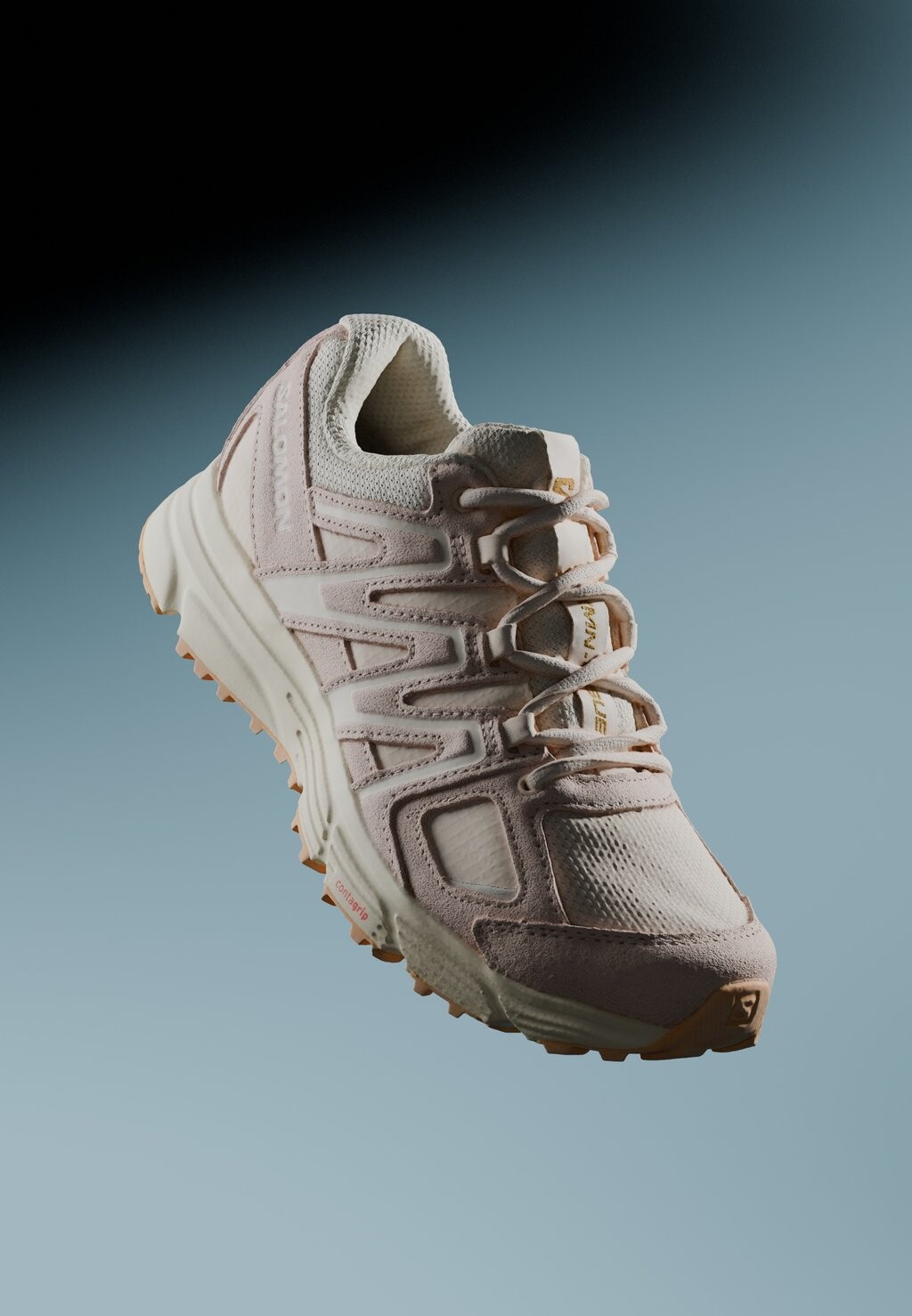 

Низкие кроссовки X-Mission 4 Unisex Salomon, цвет rainy day/vanilla ice/kelp, Серый
