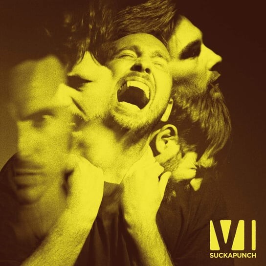 

Виниловая пластинка You Me At Six - Suckapunch