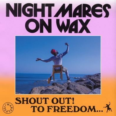 Виниловая пластинка Nightmares On Wax - Shout Out To Freedom nightmares on wax nightmares on wax smokers delight sonic buds