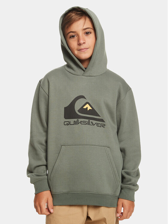 

Толстовка обычного кроя Quiksilver, зеленый