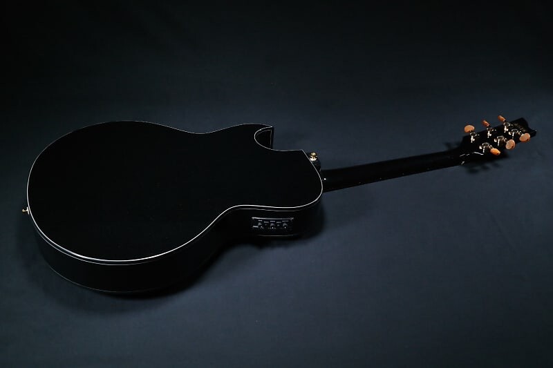 

Акустическая гитара Ibanez EP5BP Black Pearl High Gloss 220