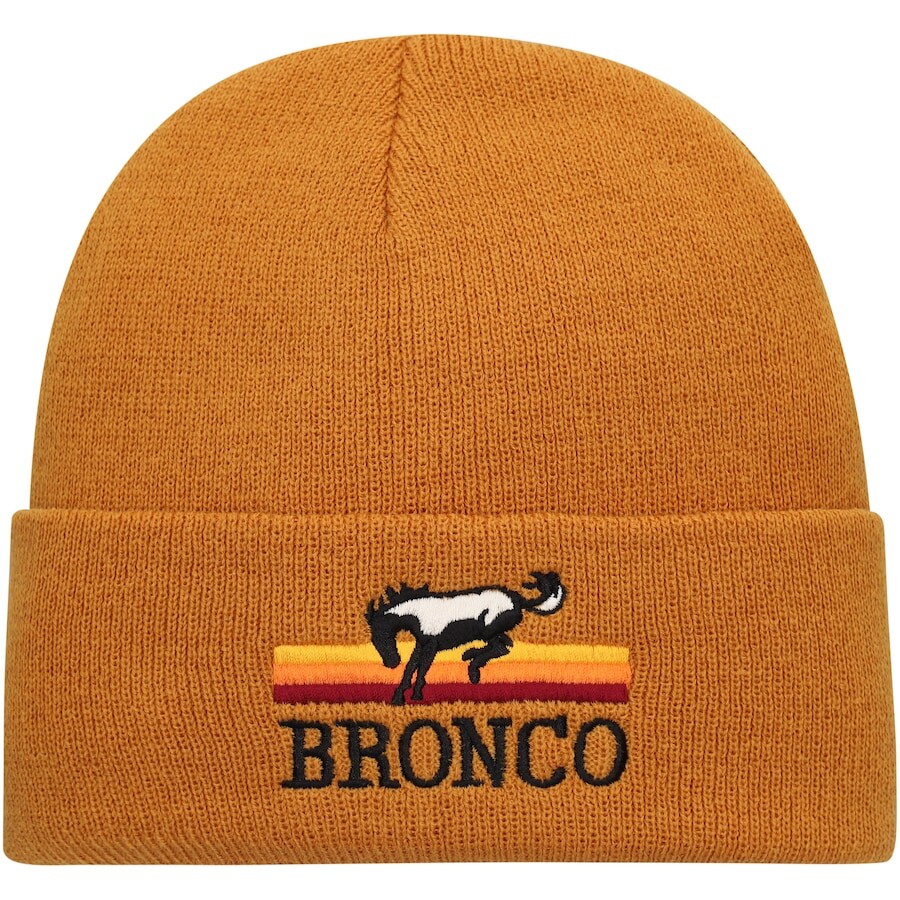 

Шапка American Needle Iconic Brands, коричневый