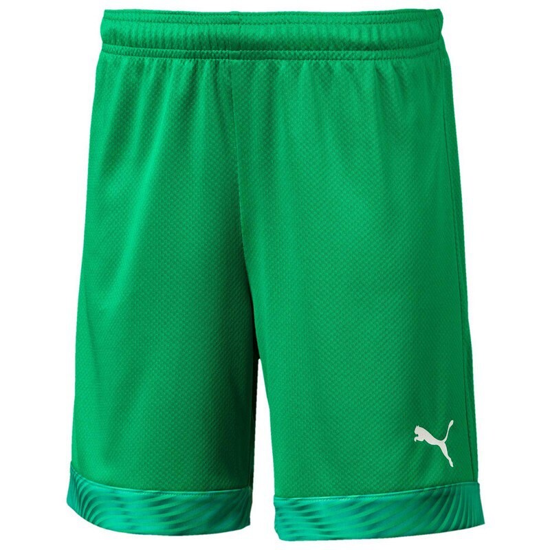 

Шорты Puma Cup, зеленый