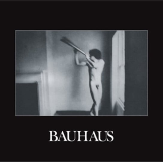 

Виниловая пластинка Bauhaus - In The Flat Field (Remastered)