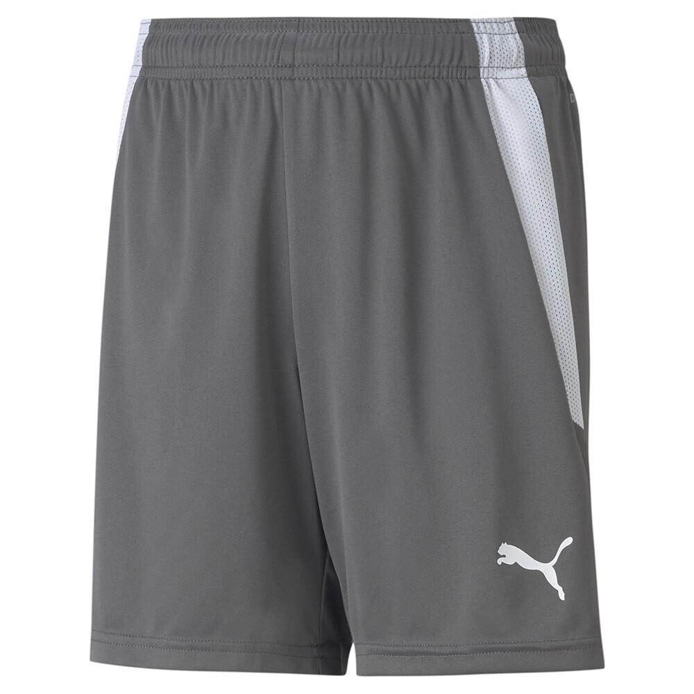 

Шорты Puma TeamLiga, серый