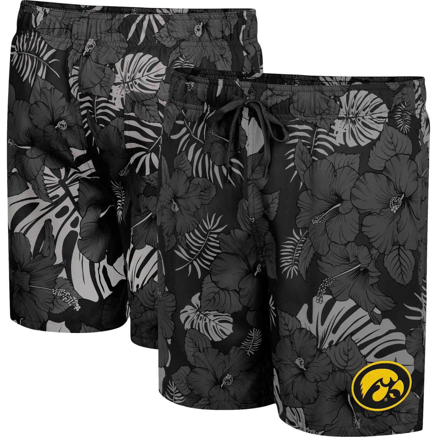 

Мужские шорты для плавания Colosseum Black Iowa Hawkeyes The Dude