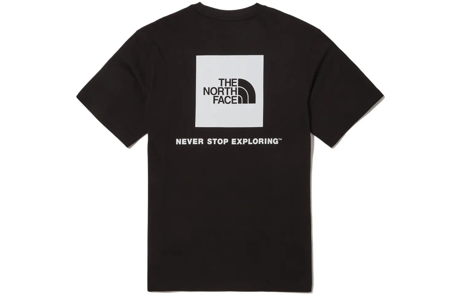 

THE NORTH FACE Мужская футболка