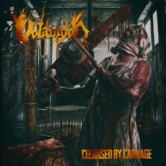 

Виниловая пластинка Volturyon - Cleansed By Carnage