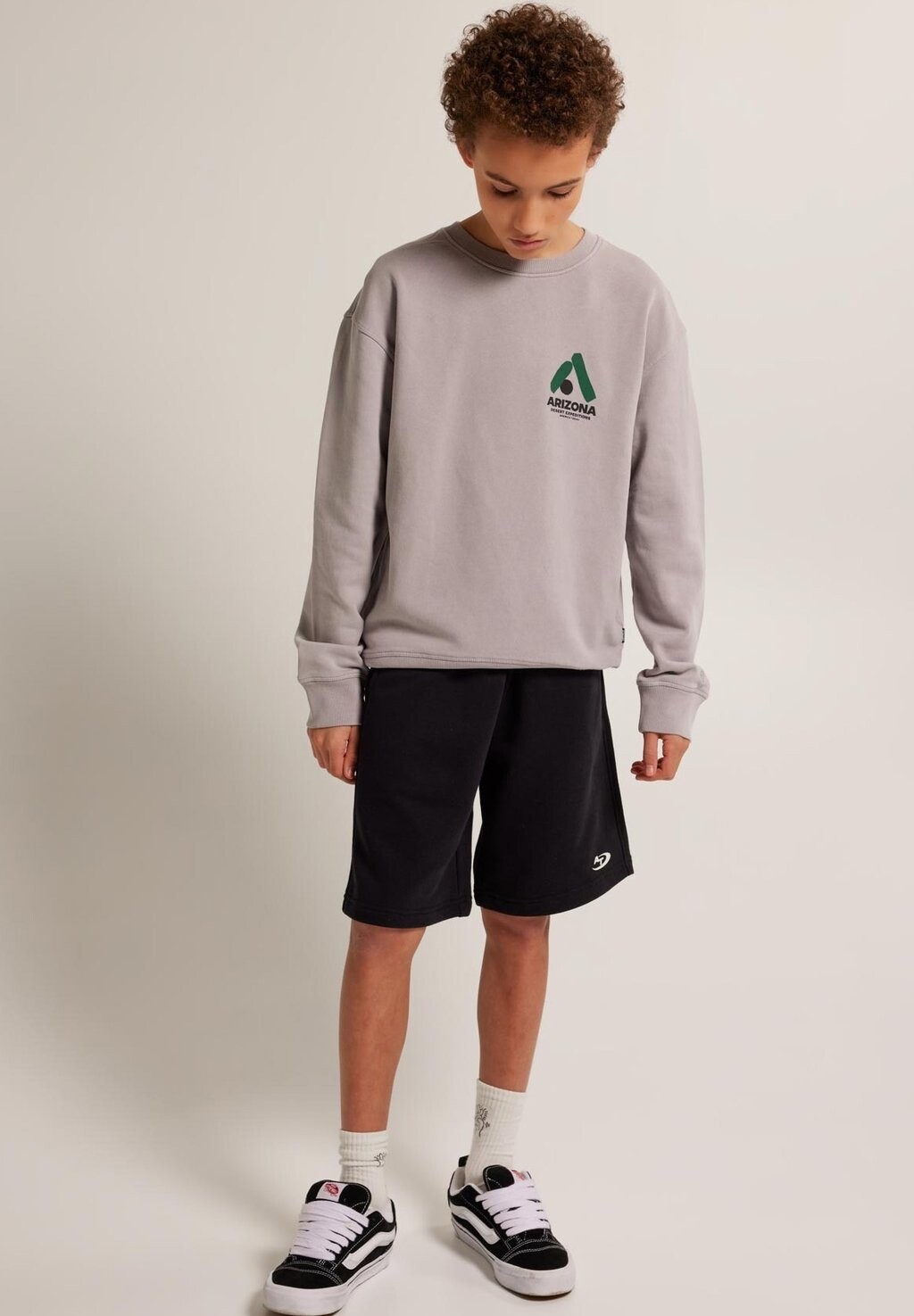 

Толстовка SKY CREW JR America Today, цвет light grey