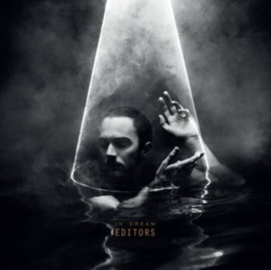 

Виниловая пластинка Editors - In Dream