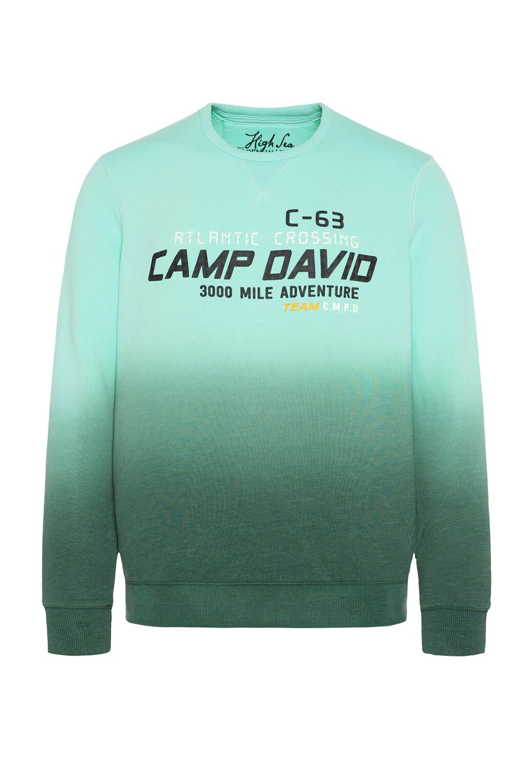 

Толстовка Camp David, светло-зеленый