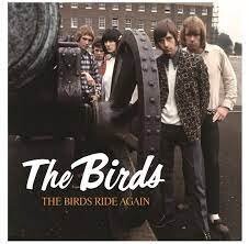 

Виниловая пластинка Birds - 7-Birds Ride Again