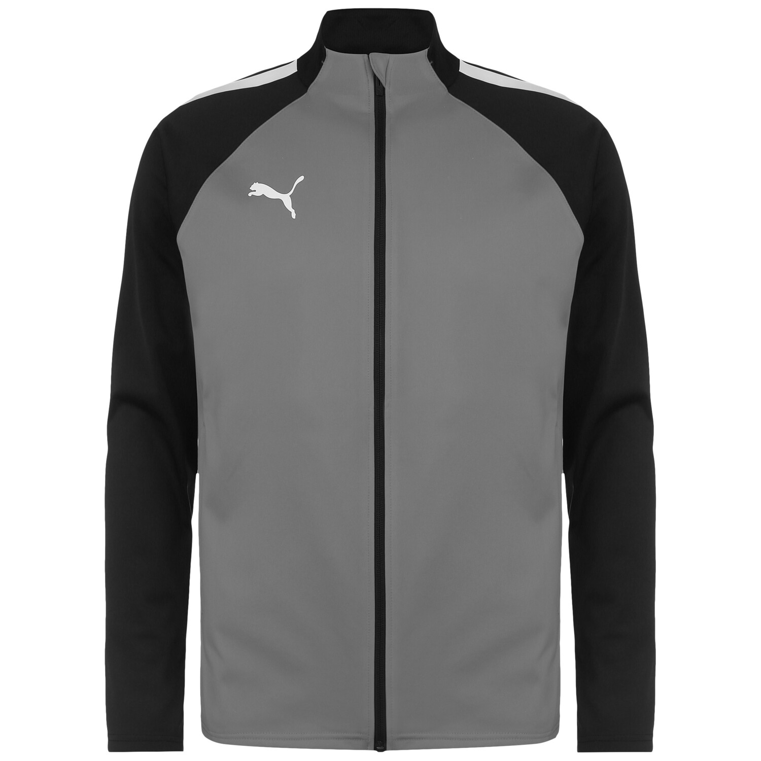 

Спортивная куртка Puma TeamLIGA, серо черный