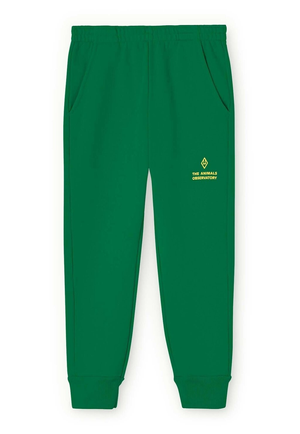 

Брюки для бега DRACO UNISEX THE ANIMALS OBSERVATORY, цвет green