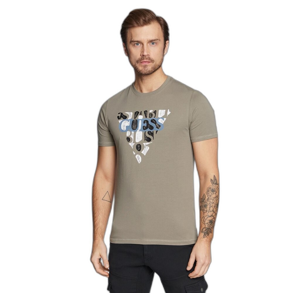 

Футболка Guess Blurri T-shirt, белый