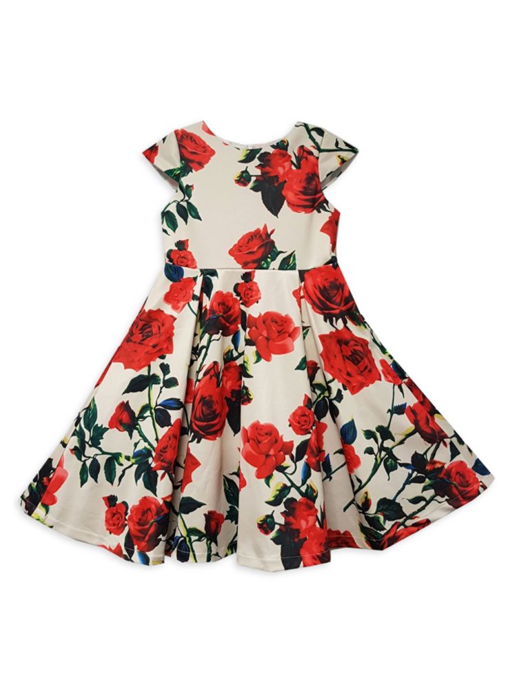 цена Расклешенное платье с цветочным принтом для маленьких девочек, маленьких девочек и девочек Joe-Ella, цвет Floral