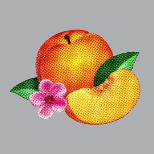 

Виниловая пластинка Phoenix: Bankrupt