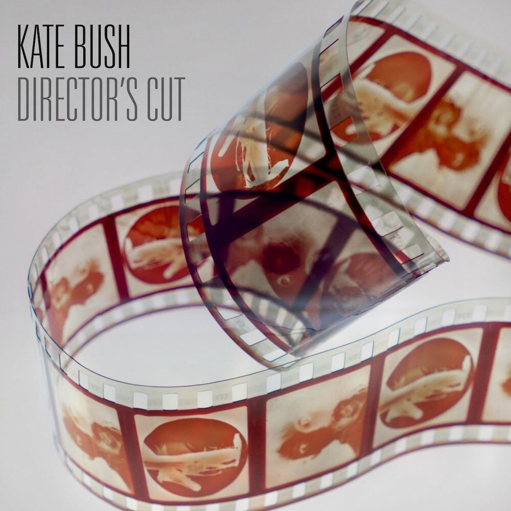 

Диск CD Director's Cut - Kate Bush