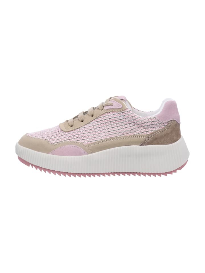 

Низкие кроссовки Palpa Low, розовый
