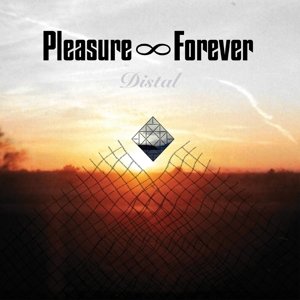 Виниловая пластинка Pleasure Forever - Distal